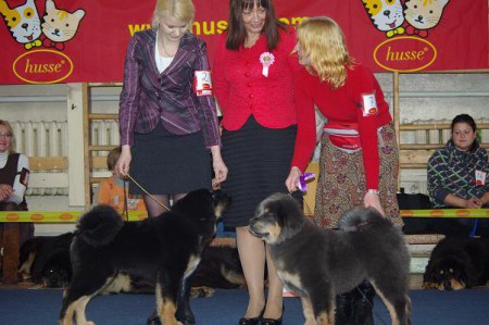 TP Beebi ja VSP Beebi